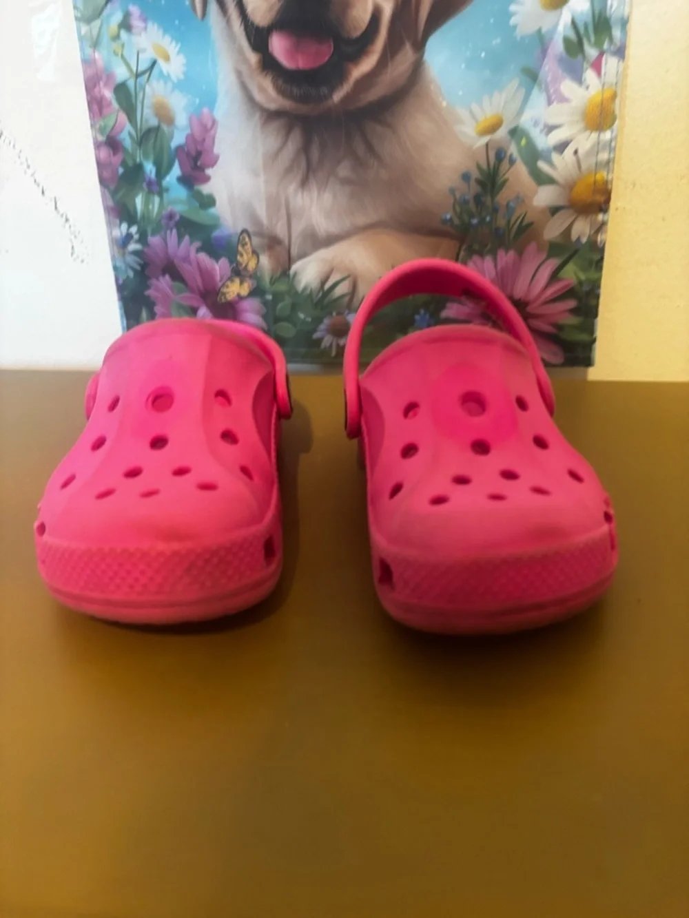 CROCS Kids Hot Pink Vented Clog Sandals